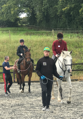 Equine Therapy