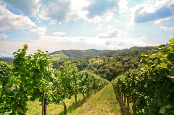 Douro Valley