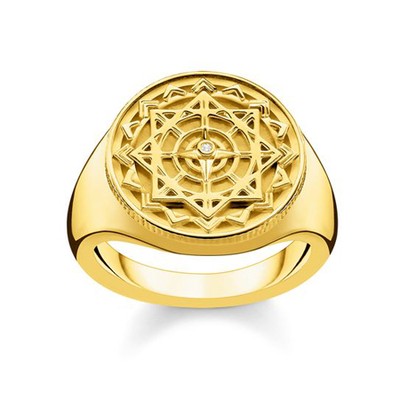 Ring 'Vintage Compass Gold'