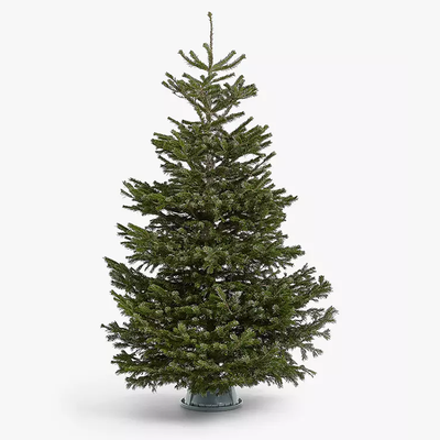 Nordmann Real Fir Christmas Tree
