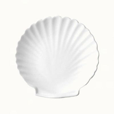 Ceramic Shell Tray