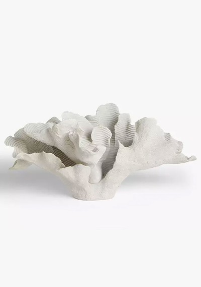 Coral Sculpture from John Lewis