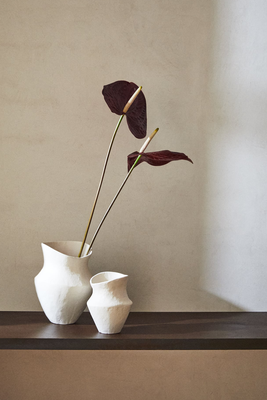 Irregular-Shaped Vase from Zara