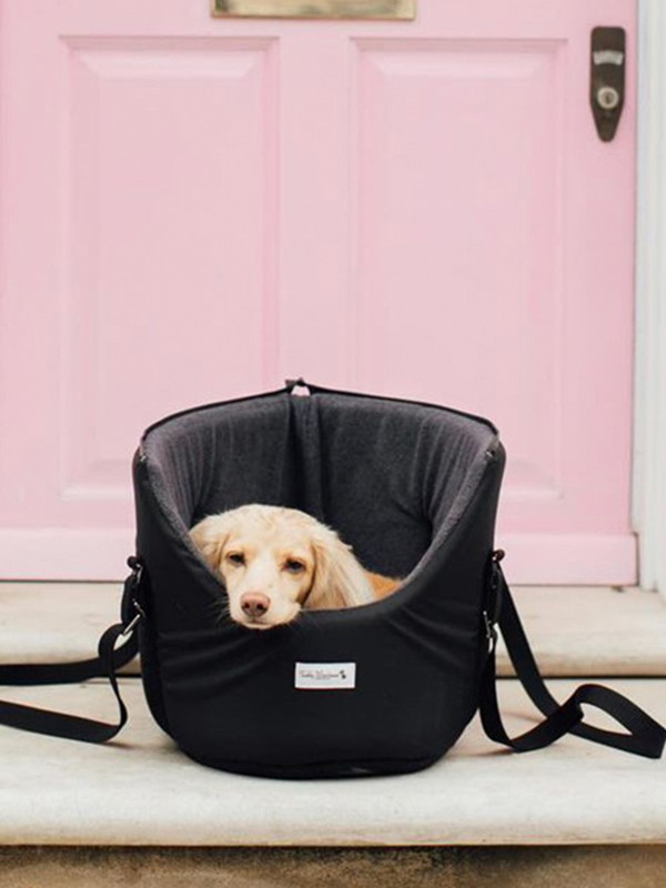 8 Of The Best Dog Brands To Know About