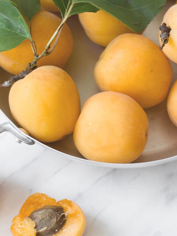 7 Impressive Health & Beauty Benefits Of Apricots