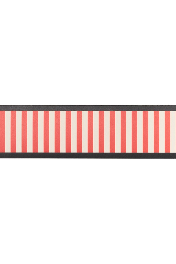 Striped Border from Susie Atkinson