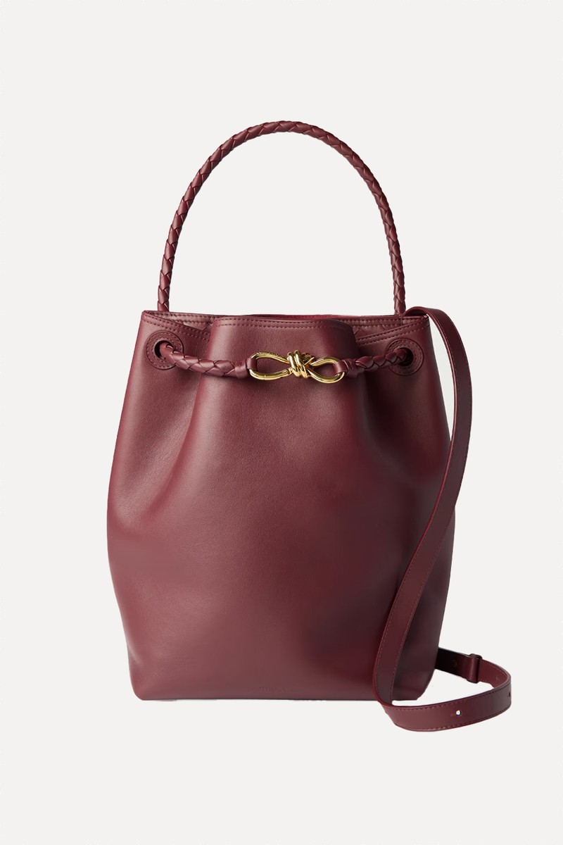 Andiamo Medium Leather Bucket Bag from bottega veneta