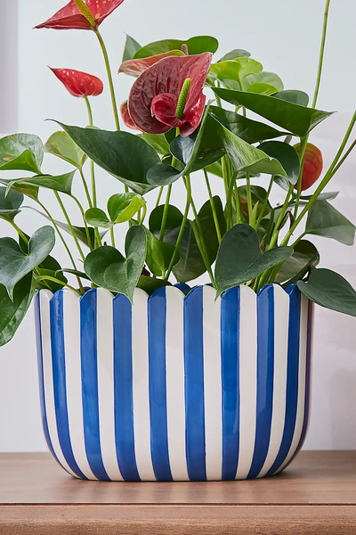 Scalloped Blue Plant Pot