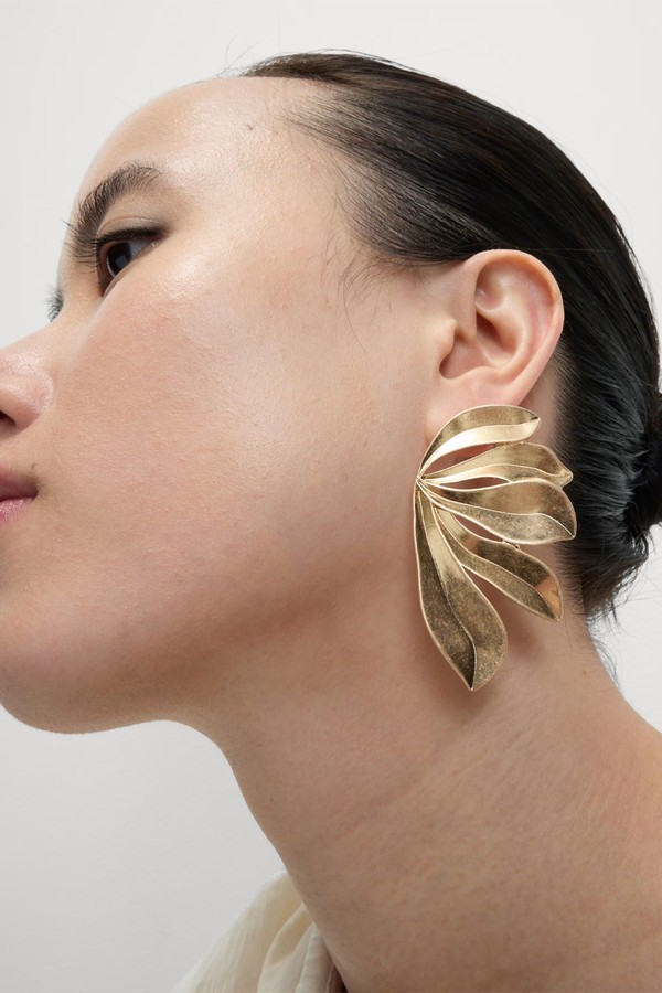 Brushed Leaf Earrings from Marks & Spencer