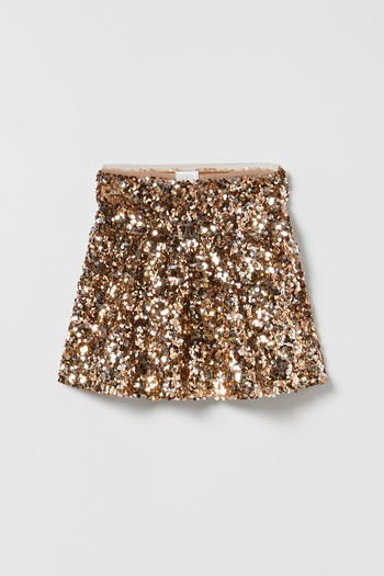 Sequinned Skirt from Zara