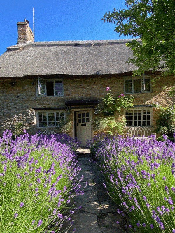  An Interior Designer Shows Us Her Dream Cottage 