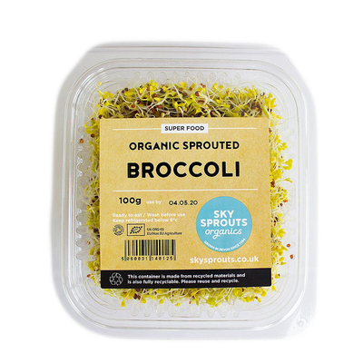 Broccoli Sprouts from Sky Sprouts
