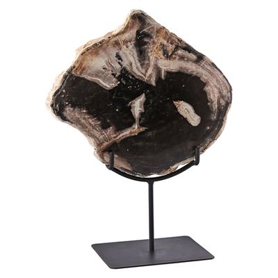 Large Petrified Wood Sculpture from West Elm