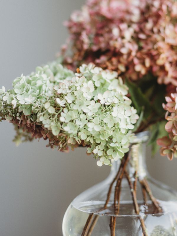 The Seasonal Flowers To Buy & Style Now