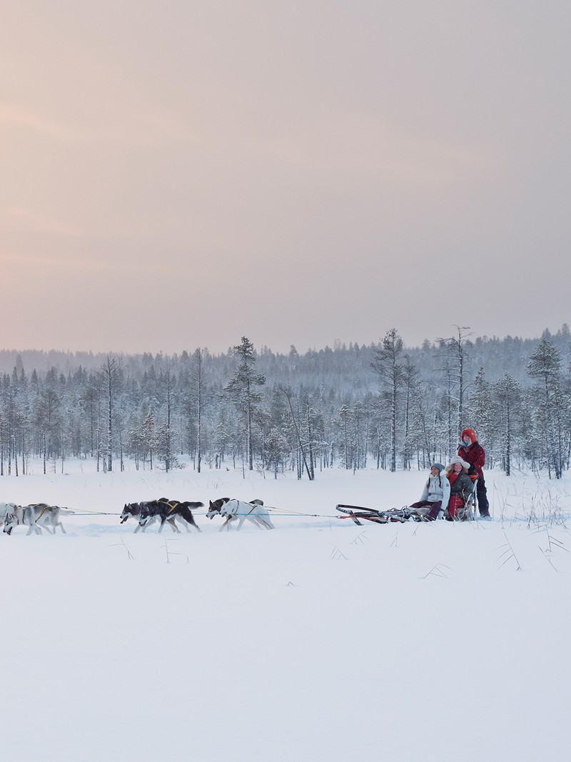 5 Ways To Experience Winter In Swedish Lapland