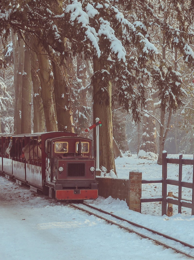 18 Great Ideas For Family Days Out This Christmas