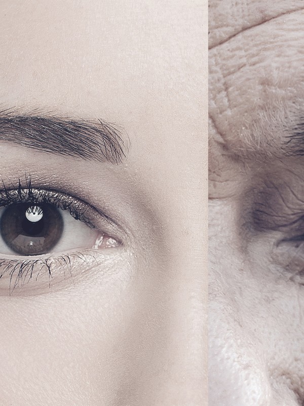 7 Things You Didn’t Know About Collagen