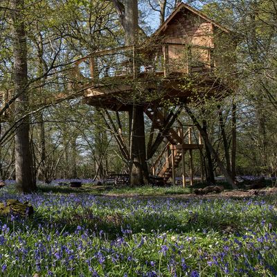 The Best Treehouses For A Summer Staycation