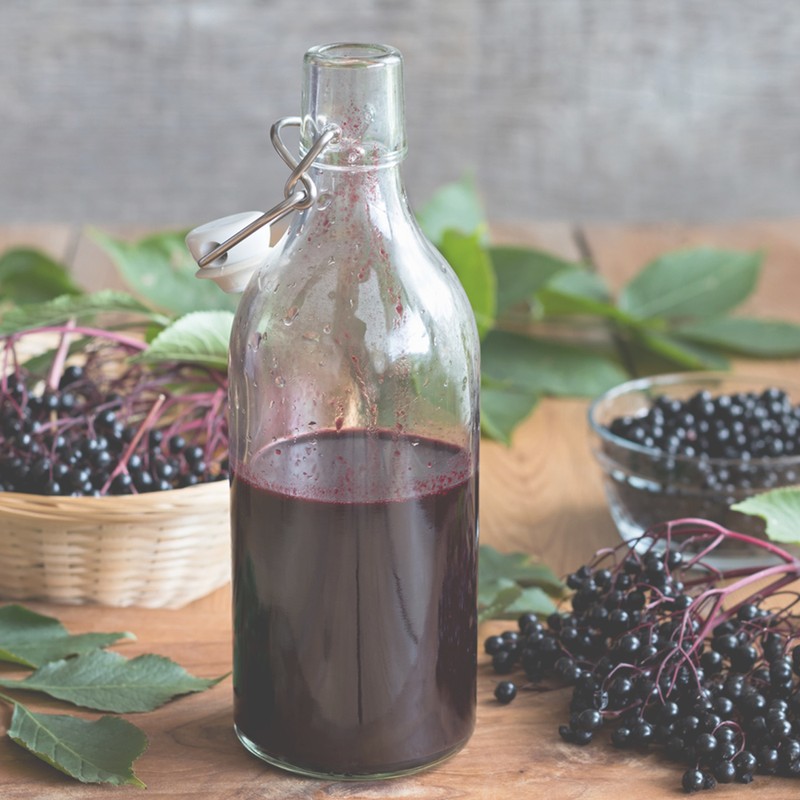 Elderberry: The Wise Old Berry