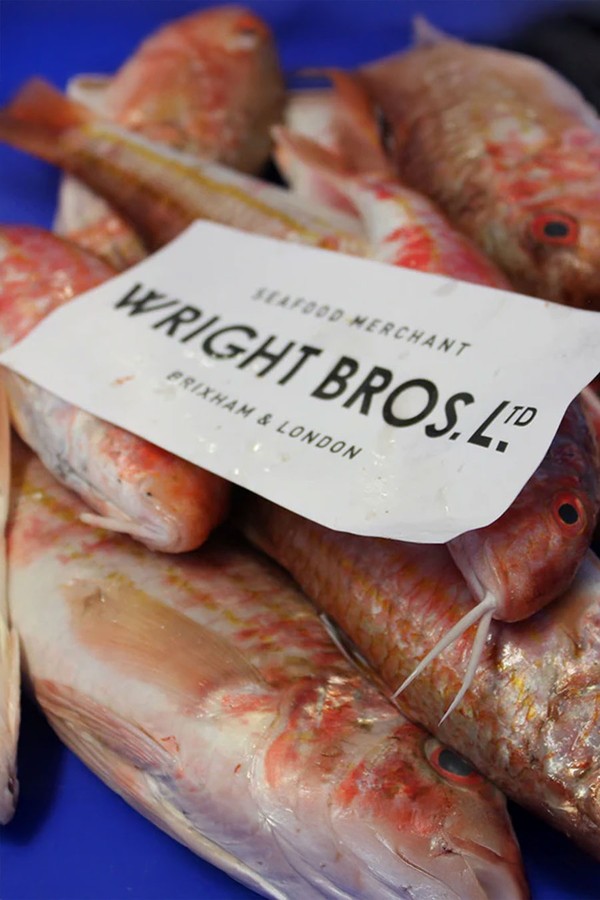 Catch Of The Day Fish Box from wright bros