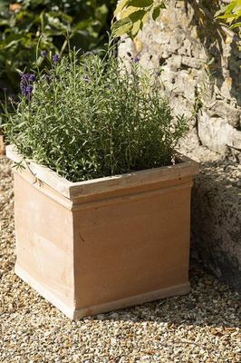 Orson Square Terracotta Plant Pot  from Gardenesque 