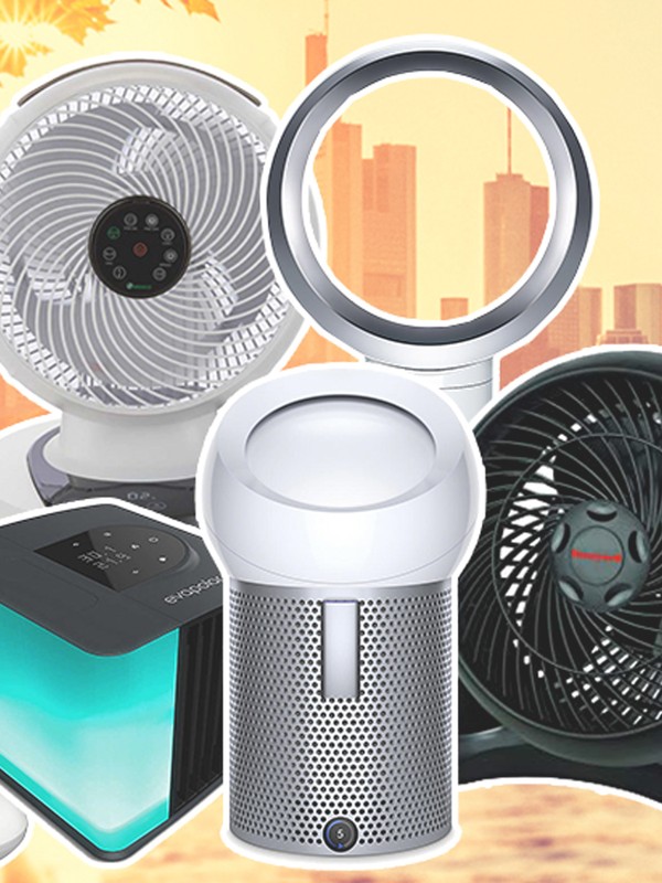 8 Best Fans For Hot Weather