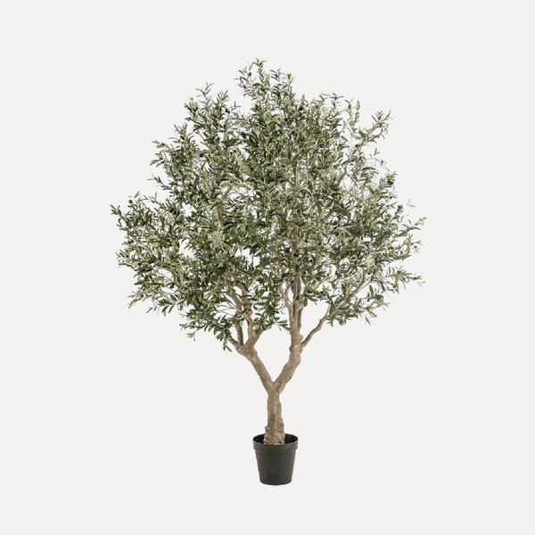 Faux Potted Olive Tree from Oka