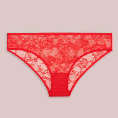 Bold Lace Bikini Brief