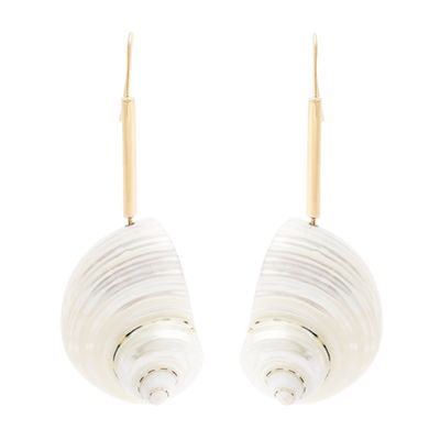 Shell Drop Earrings from Loewe