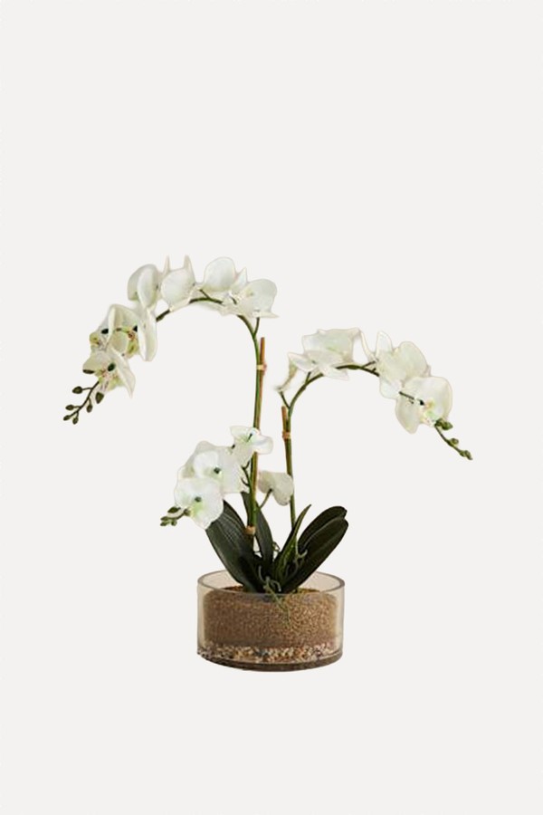 Artificial Large Orchid In Glass Pot