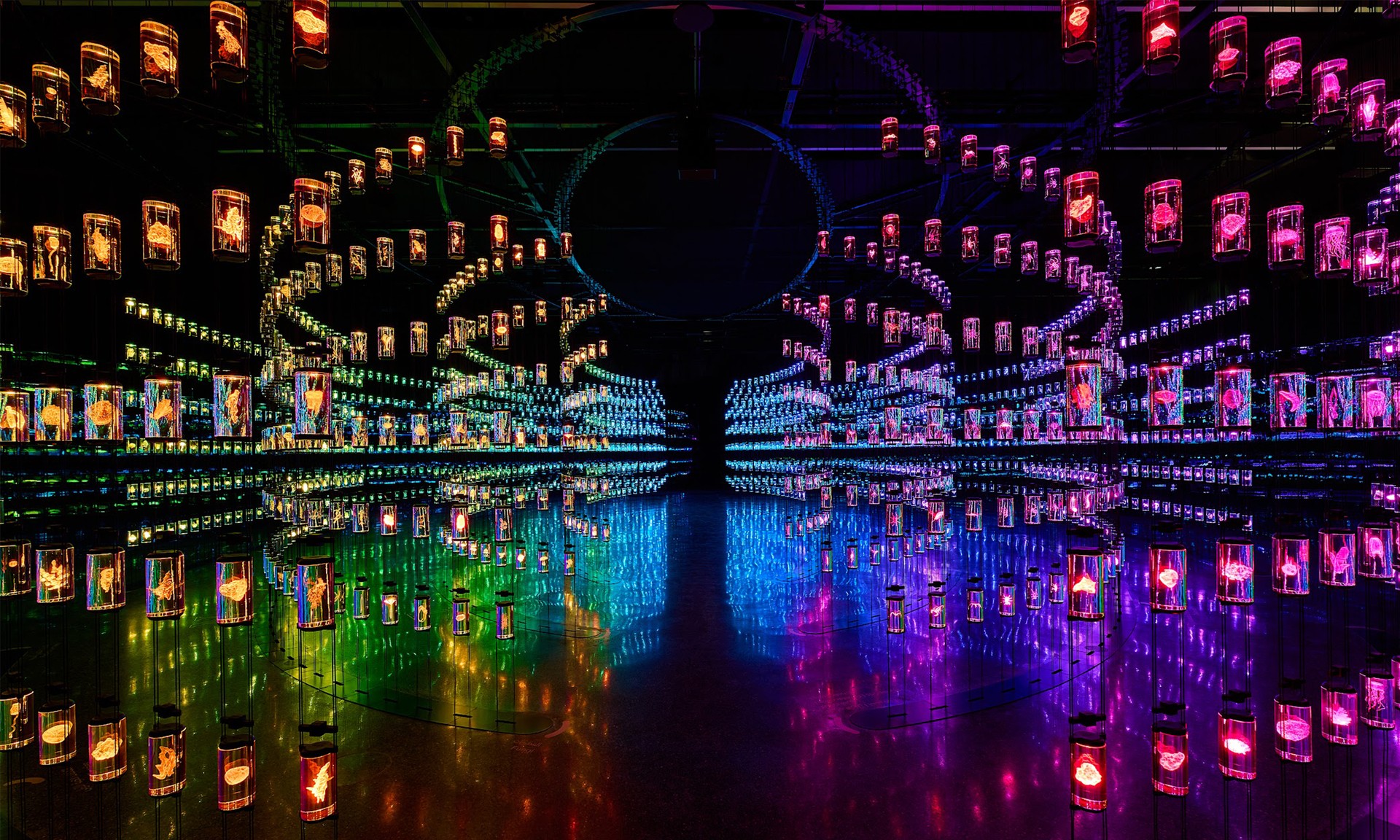 Museum of the Future