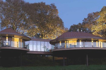 Treehouses At Chewton Glen