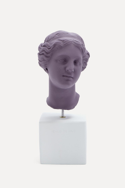 Medium Venus Head from Sophia Enjoy Thinking