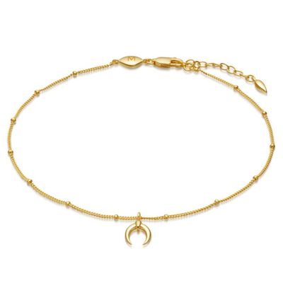 Tiny Horn Anklet from Lucy Williams X Missoma
