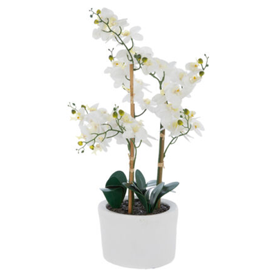 White Artificial Orchid