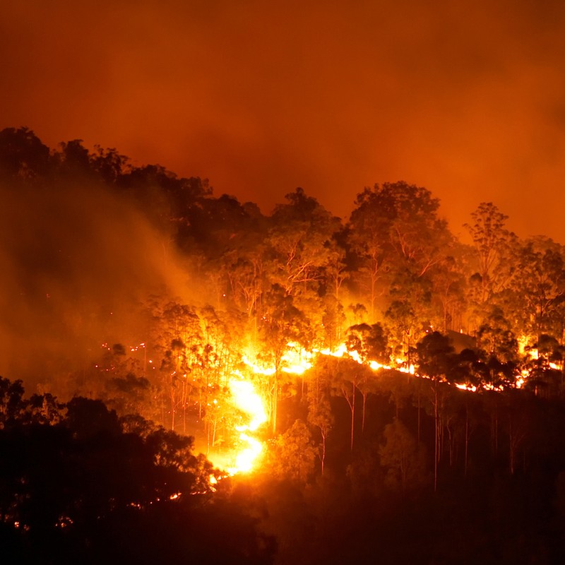 8 Ways To Donate To The Fight Against Australia's Bushfires