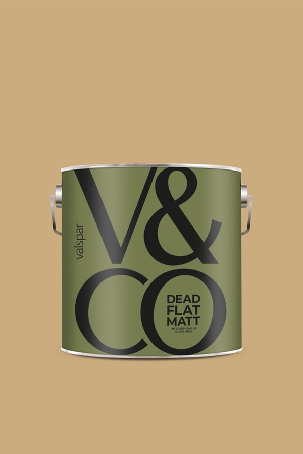 The Sapna from V&CO PAINT