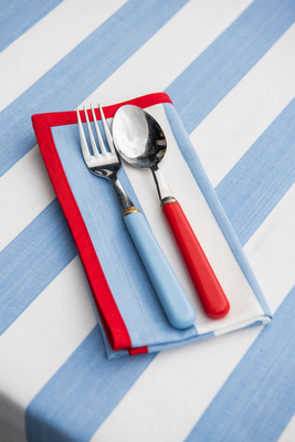 Striped Napkin With Edging from Table In The Sun