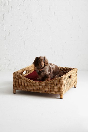 Kway Rattan Pet Bed from Kalinko