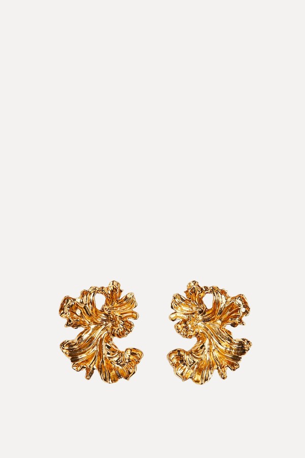 Organic-Shaped Earrings