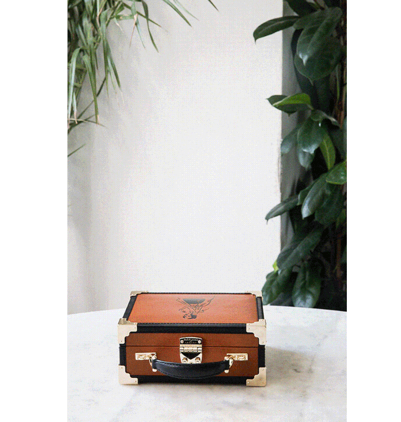 Giles x Aspinal Mini Trunks in Smooth Tan, Coral Satin, Green Satin & Girls Print