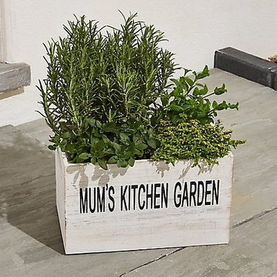 Mum's Herb Crate