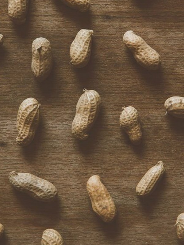 Everything You Need To Know About Peanut Allergies