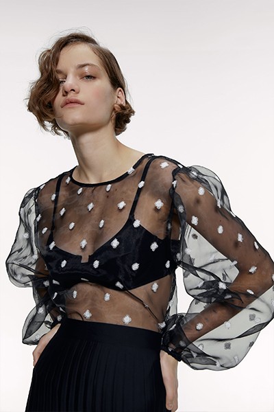 Embroidered Organza Top