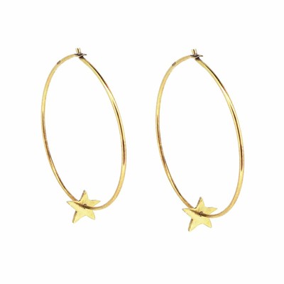 Tiny Star Hoop Earrings from Wolf and Badger