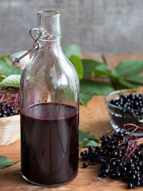 Why Elderberries Could Be Worth Adding To Your Supplement Routine
