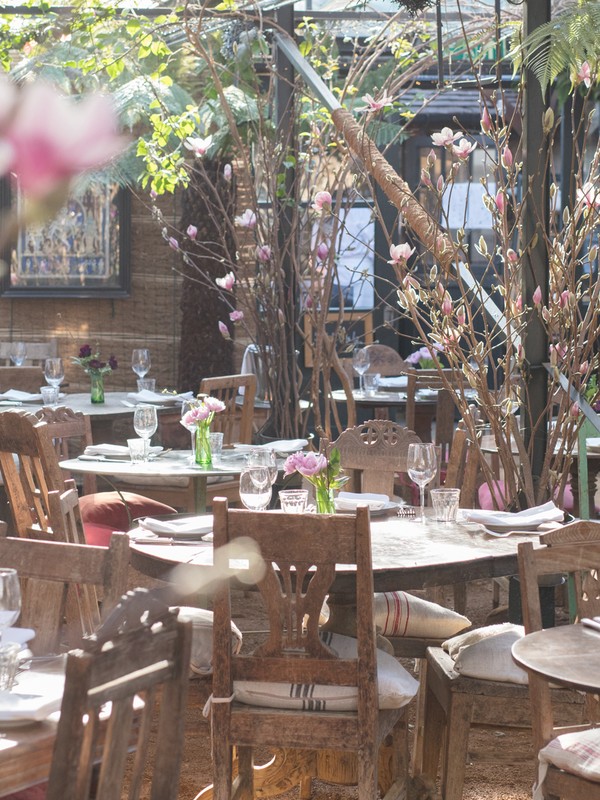 10 Places To Go That Will Make You Feel Like It's Spring 