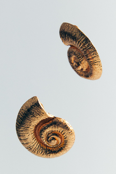 Seashell Earrings