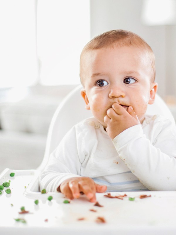 Weaning 101 With Annabel Karmel