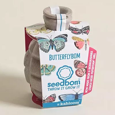 Butterflybom Seedbom Seeds